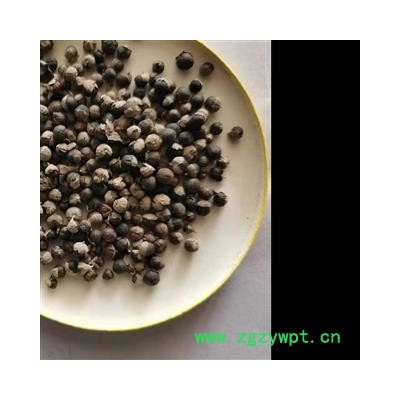 蔓荆子 云南蔓荆子小粒统货 产地 云南省