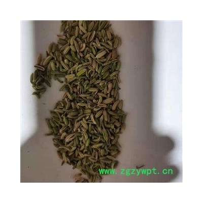 小茴香 小茴香纯青净货 产地 广西壮族自治区