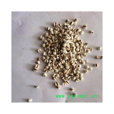 薏苡仁 国产薏苡仁98米 产地 贵州省