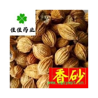 香砂 选 新货 颜色好 味道浓 产地直销 产地 广西壮族自治区