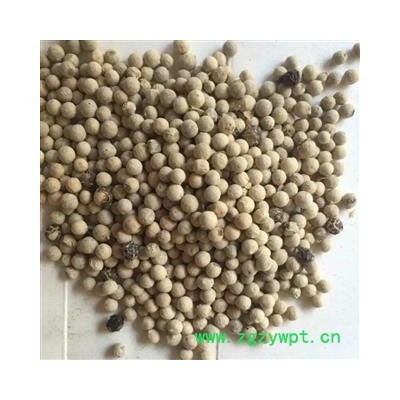 白胡椒 选  地道药材，一站式购全