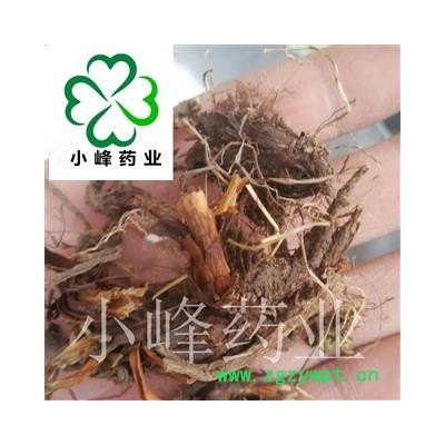 甘松 新货 颜色好 纯干货  产地 四川省