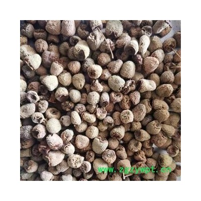 覆盆子 覆盆子统货 产地 浙江省