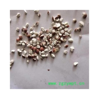 芡实 芡实3.4 瓣 产地 广东省