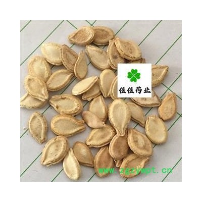 冬瓜子 双边冬瓜子选 产地 安徽省 供应大货【供应各种中药材】冬瓜子 冬瓜籽
