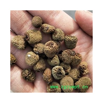 亳州花田错药业一 四川覆盆子  选货 大覆盆子   一手货源