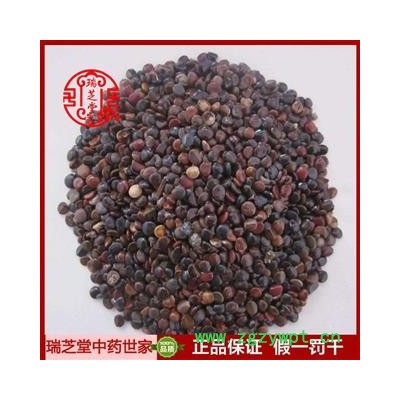 枳椇子统货 福建枳椇子 药典正品 中药材 瑞芝堂产地直供1000克 规格齐全 一站购齐