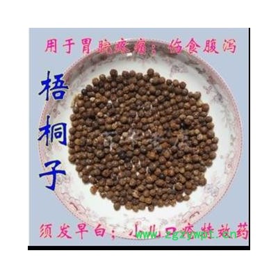 梧桐子 统 产地 安徽省亳州市谯城区