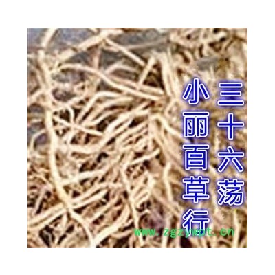 小丽百草行三十六荡 娃儿藤 三十六根 双飞蝴蝶 白龙须 娃儿藤根 七层楼根
