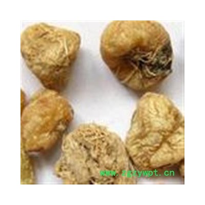 小丽百草行山慈菇  产地 云南省昭通市鲁甸县