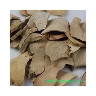 小丽百草行中药材香樟木 香樟树根