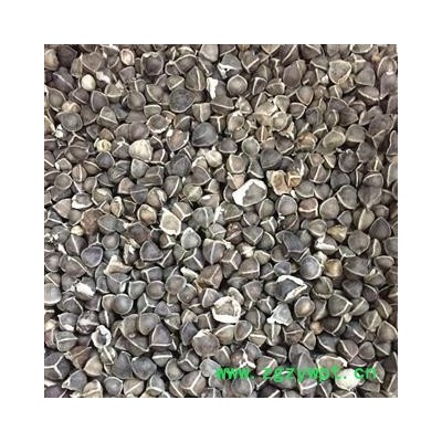 印度进口辣木籽 辣木子 成熟饱满