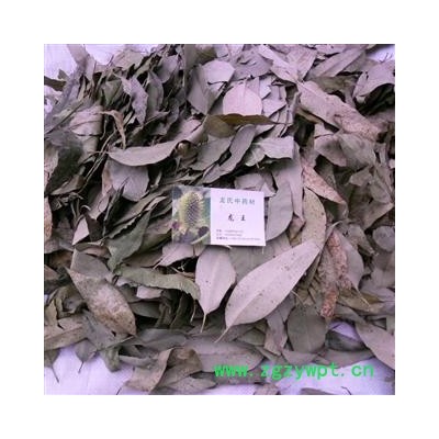 桉树叶 青统货 产地 四川省成都市双流县