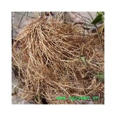 三十六荡  白龙须 土细心