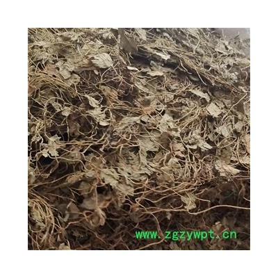 田字草 四叶草 四叶苹 水草头 水金花头  十字草 妹妹草 破铜钱草 夜里串四叶莲