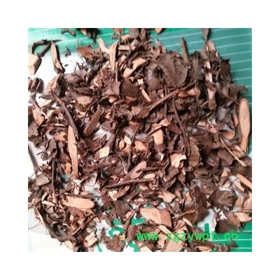 小丽百草行柞木枝 黄金柞 山胡椒根