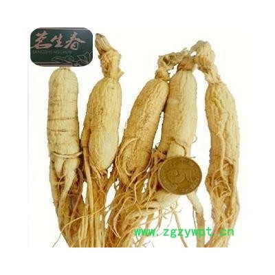 白参 生晒参25支原皮全须人参 茗生春药材总公司 一手货源 7天无理由退换