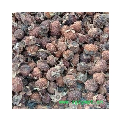 刺梨子 统 产地 四川省成都市双流县