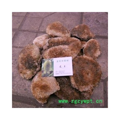 向日葵花盘 统货 产地 四川省成都市双流县