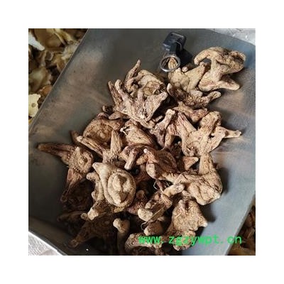 小丽百草行白芨 贵州白芨（大统货）三叉白芨 无硫磺 产地贵州