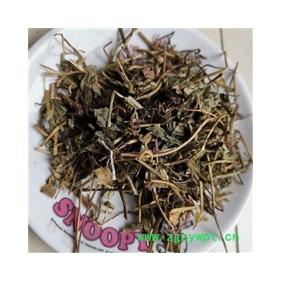 小丽百草行蝴蝶草 肺形草 铁交杯 双飞蝴蝶