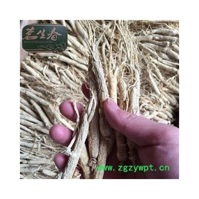 白参 生晒参60支以上 产地 吉林省 茗生春药材总公司 一手货源 7天无理由退换