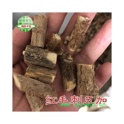 刺五加 未抽芯 红毛刺五加 统段 产地 四川省 买好药找娟子