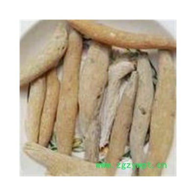 紫茉莉根 统 产地 西藏自治区拉萨市市辖区