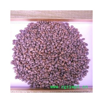 蓖麻子 统货 产地 四川省成都市双流县