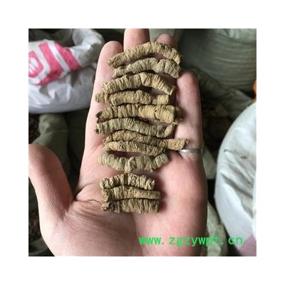 巴戟天  巴戟肉 大统 巴戟天 产地 广东省