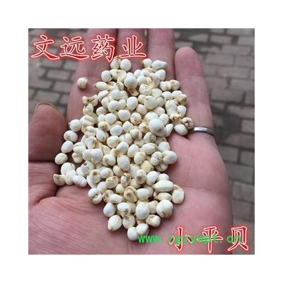 平贝母 无硫 小平贝 小尖贝 小贝母 0.5cm 产地 吉林省松原市市辖区