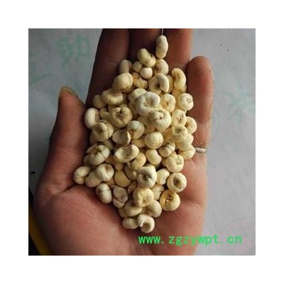 平贝母 贝母 产地 吉林省吉林市市辖区