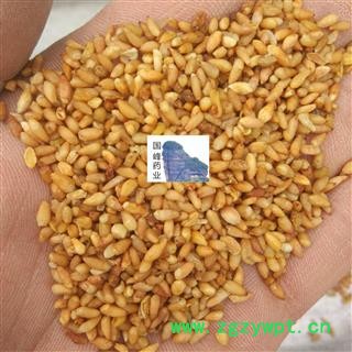 柏子仁 柏子仁 新货 好统货 颜色好 国峰药业 重在品质 产地 山东省