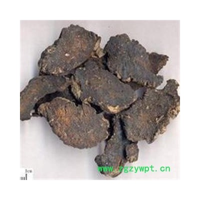 生地黄 统 产地 河南省