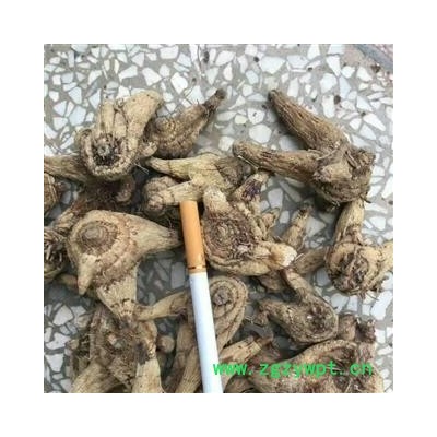 白芨 贵州白芨（大统货）三叉白芨 无硫磺 产地贵州