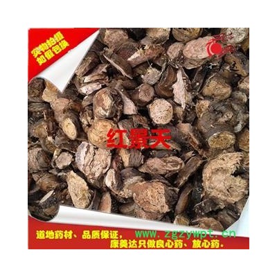 红景天 小花红景天 产地 西藏自治区