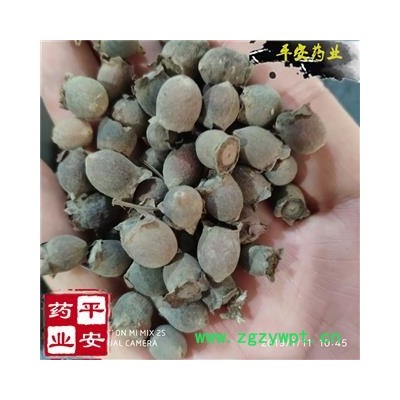 桃金娘子 颗粒整齐 质地饱满 岗稔子 山稔子 桃金娘果【品质保证 卓越品质】