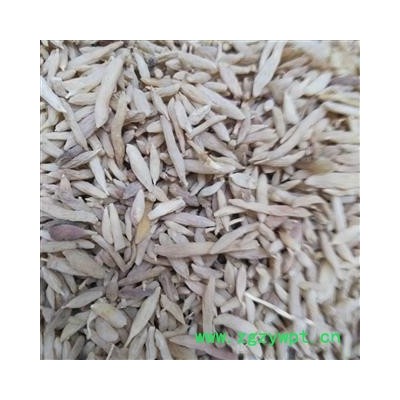 山麦冬 山麦冬（湖北麦冬）统货 产地 山东省