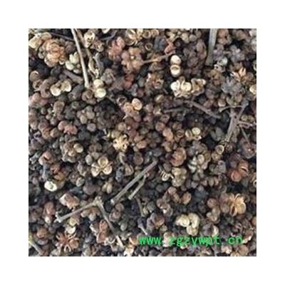 吴茱萸 大花吴茱萸统货 过筛子 全部开花 没有籽 不掺假 产地 江西省