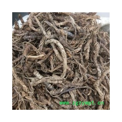 胡黄连 胡黄连统货个子 产地 西藏自治区