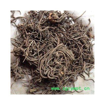 桃儿七 统 产地 四川省