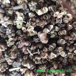 吴茱萸 吴茱萸大花统货 产地 江西省萍乡市市辖区 吴茱萸 吴茱萸大花统货 产地 江西省萍乡市市辖区