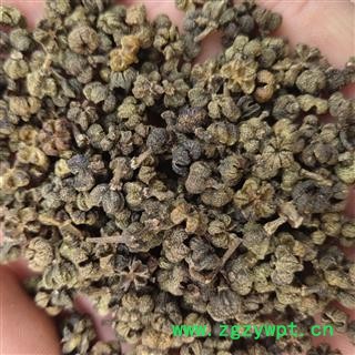 吴茱萸 吴茱萸中花统货  无杆 产地 广西壮族自治区河池市 吴茱萸 吴茱萸中花统货  无杆 产地 广西壮族自治区河池市