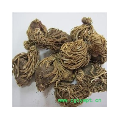 头顶一棵珠 延龄草、芋儿七、狮儿七、三角七、头顶珠、天珠[果实]、地珠 统货 产地 辽宁省 凯捷中药