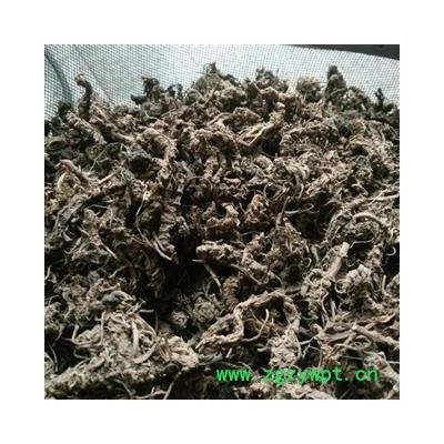 蜘蛛香 去毛蜘蛛香 马蹄香 土细辛 心叶缬草 养心莲 养血莲 臭药 乌参 猫儿屎 老虎七 香草 产地 陕西省