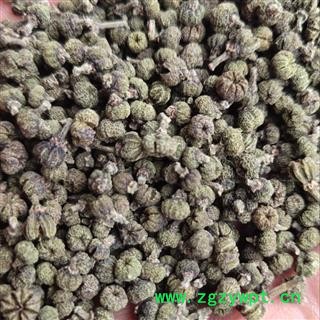 吴茱萸 吴茱萸江西青中花 颗粒 无开裂  圆果 选货 产地 江西省萍乡市 吴茱萸 吴茱萸江西青中花 颗粒 无开裂  圆果 选货 产地 江西省萍乡市