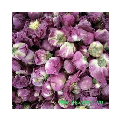 白芍花 白芍 花茶 产地 安徽省