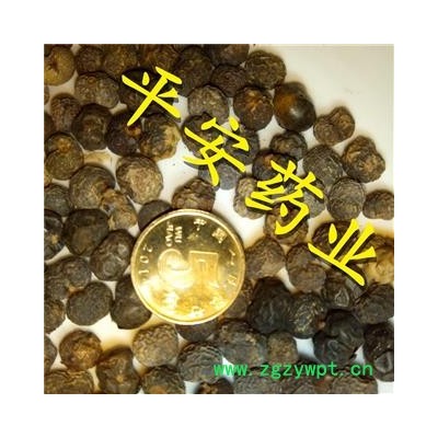 棕榈子 败棕子 棕树果 栟榈 棕树 山棕 棕葵花 棕榈籽