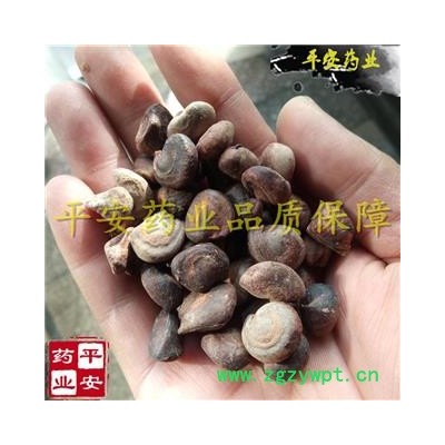 平安药业 马槟榔 别称 水槟榔 屈头鸡 紫槟榔 太极子