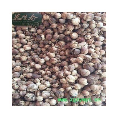 白豆蔻 白豆蔻统货 茗生春药材总公司 一手货源 7天无理由退换